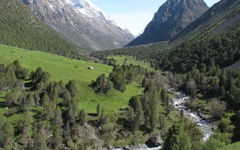 Аламединское ущелье фото